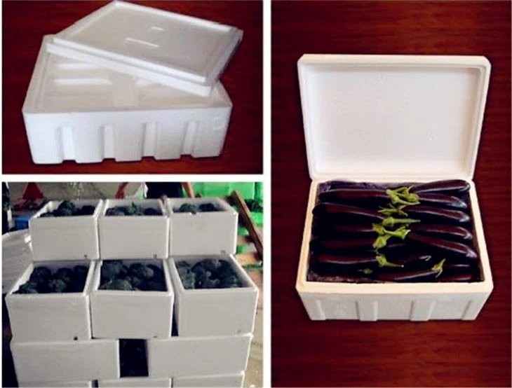 China EPS Vegetable Box Machine